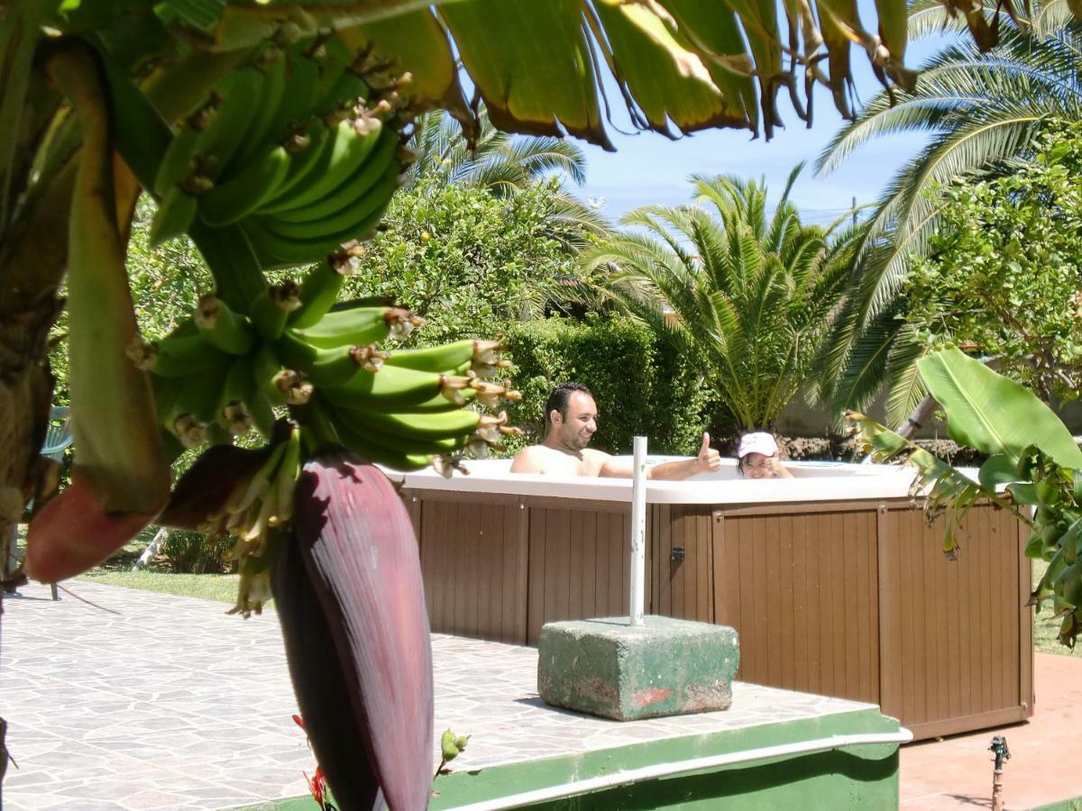 Finca La Gaviota - Los Limoneros Icod De Los Vinos Exterior photo